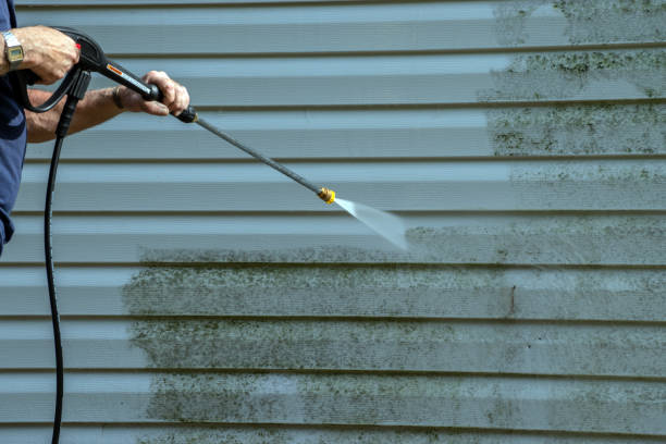 Best Patio and Deck Pressure Washing  in Binghamton, NY
